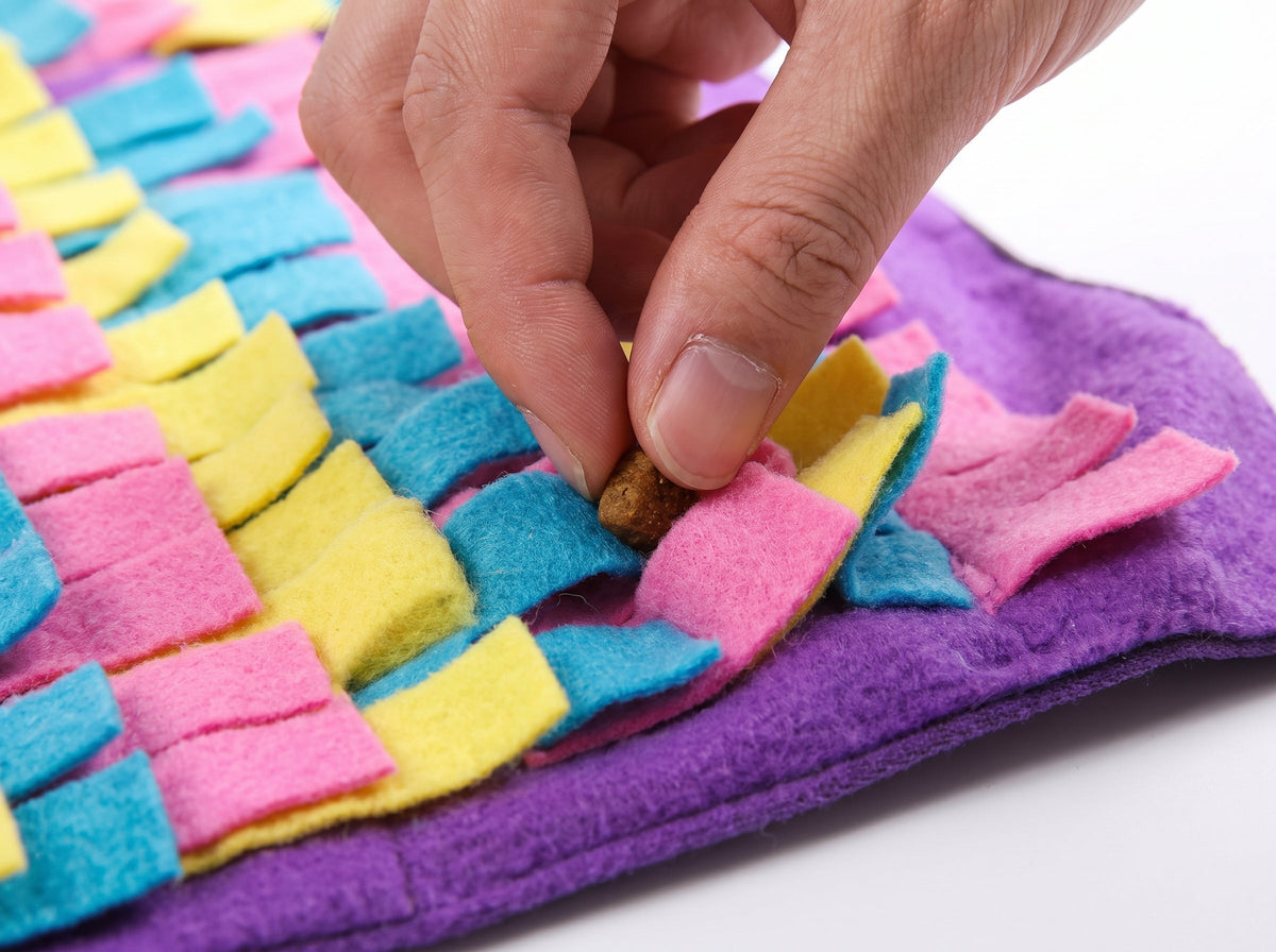 Hiding dog treats in the fabric folds of a snuffle mat